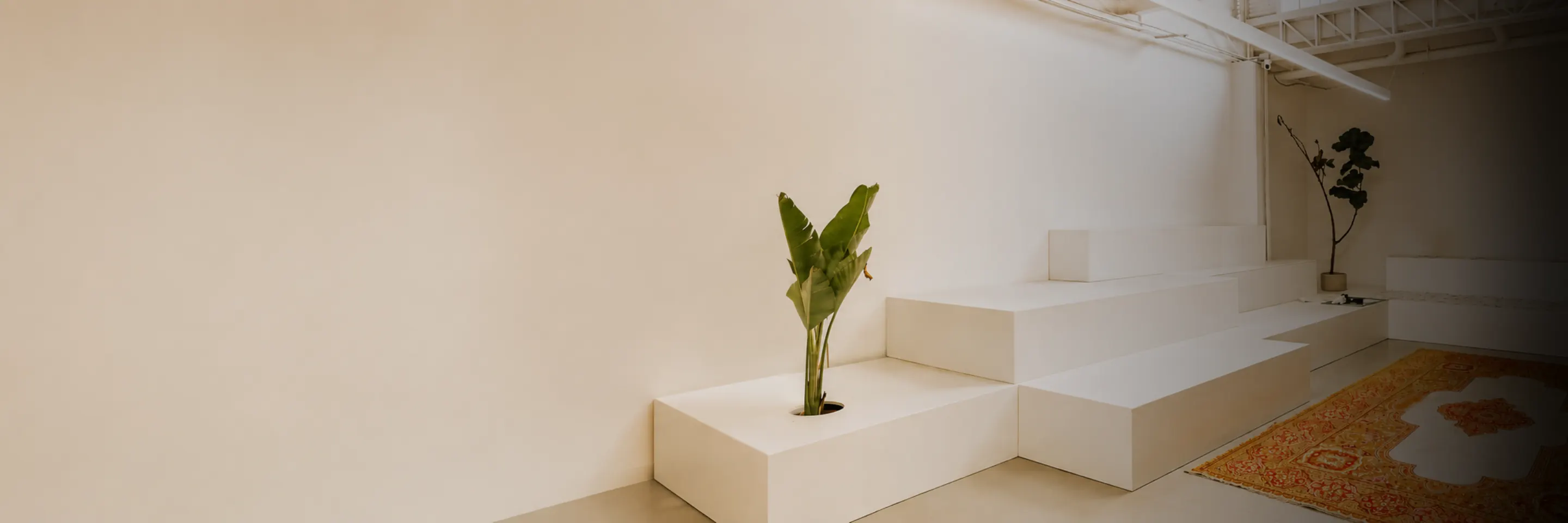 Showroom minimalista de Asombra con paredes color crema, plataformas escalonadas y planta, ambientado con iluminación LED lineal