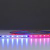 CINTA LED 24V SINFONIA / 12W RGB CL12 10MT